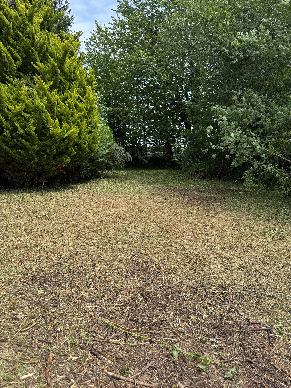 Jardin après intervention